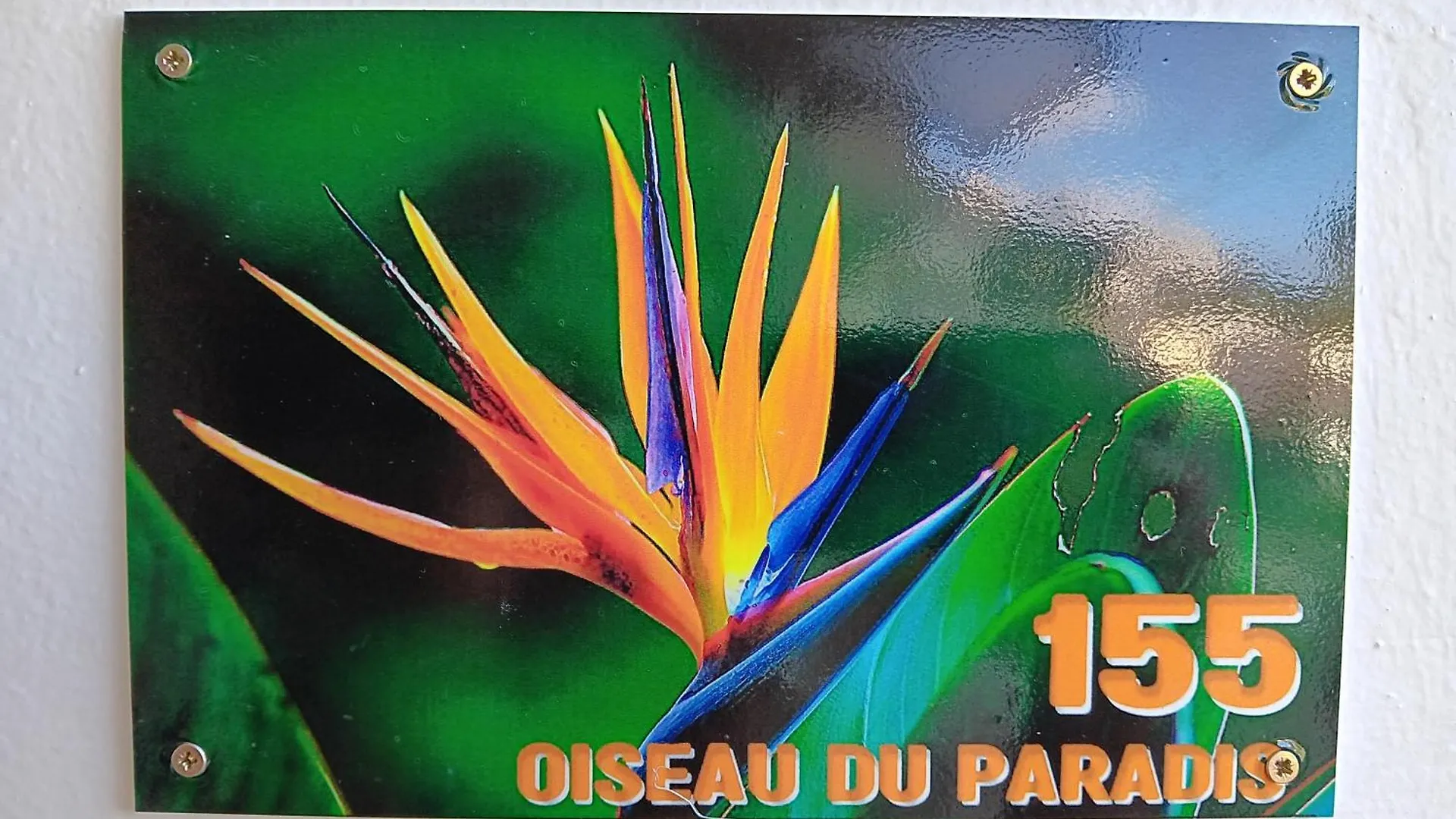 Apartment Oiseau Du Paradis La Trinite
